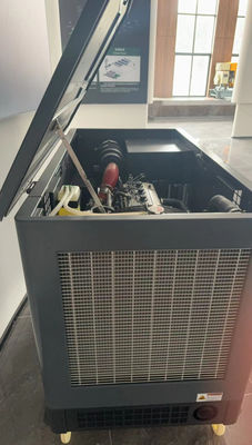 EPA Certified 15kw 20kva 20kw 25kva Gas Genset LPG Gasoline Engine Propane Dual fuel Power Generator